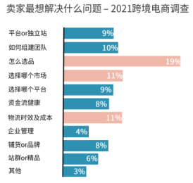 为什么选择独立站作为转型的平台？独立站有什么好处？